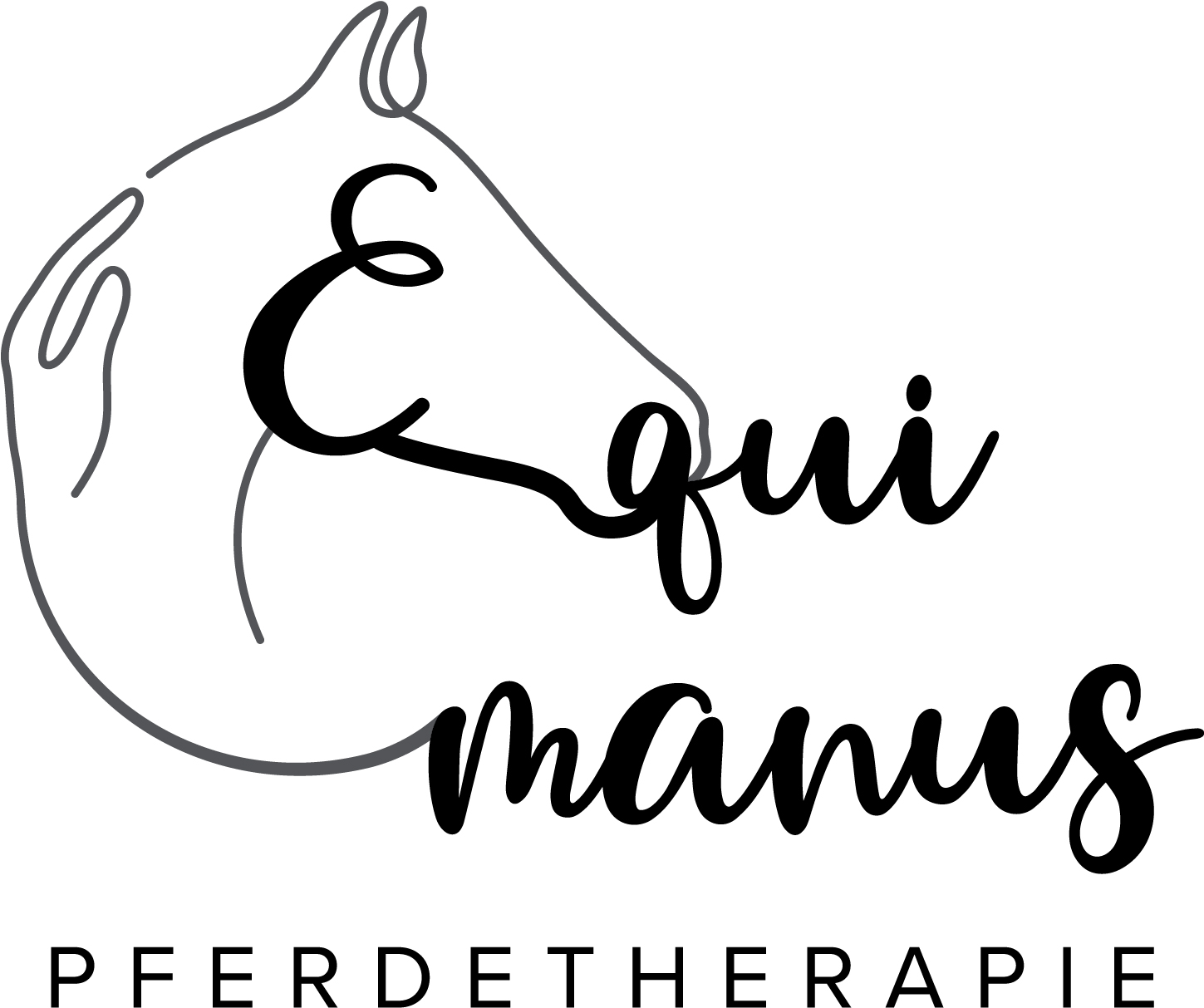 Equimanus Pferdetherapie